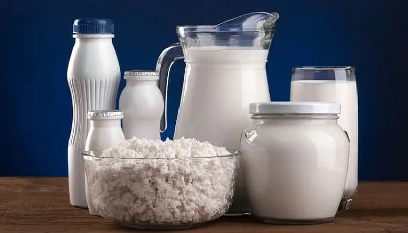 10 предприятий Кыргызстана получили разрешение на экспорт молочной продукции в Россию