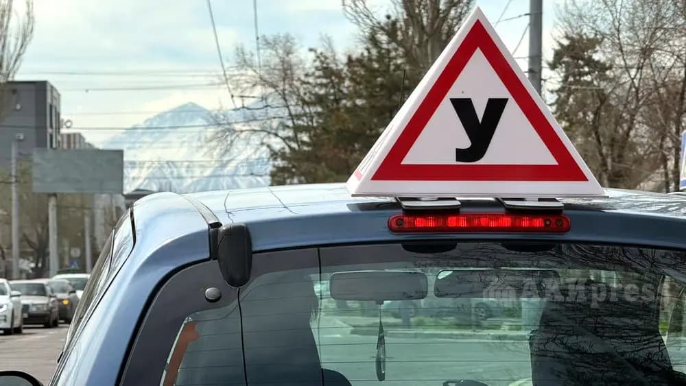 В Кыргызстане предложили отменить лицензирование автошкол
