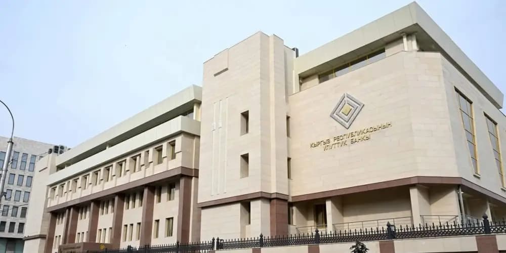 The National Bank of Kyrgyzstan has fined currency exchange bureaux and illegal money changers 200,000 KGS