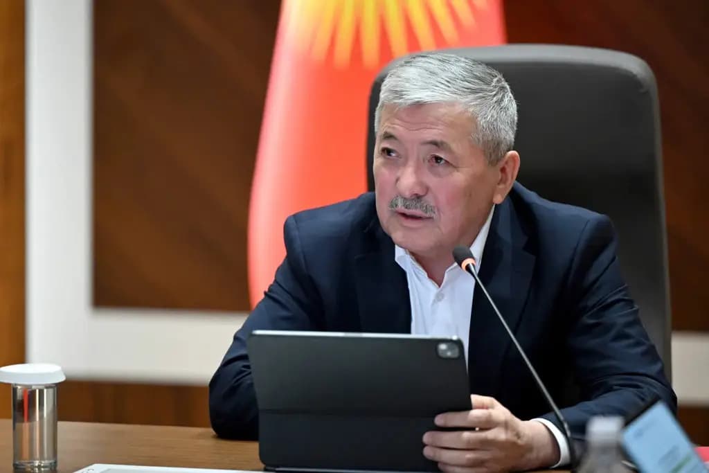 Мигранттар пенсиялык төгүмдөрдү эми онлайн төлөй алышат