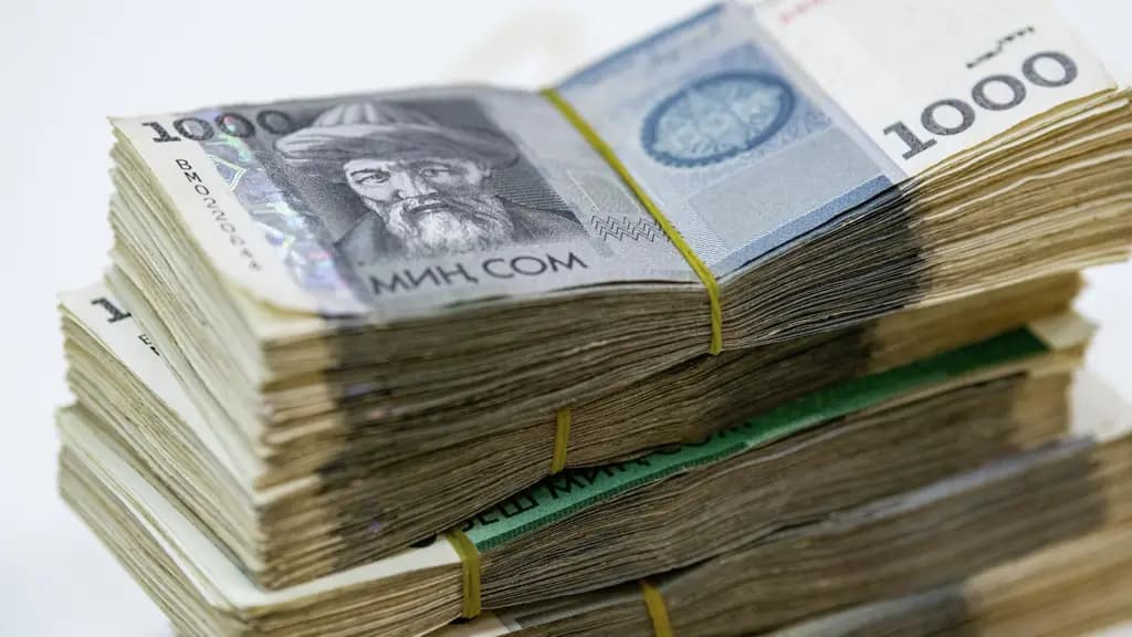 Соцфонд Топтомо фонддогу акчаларды инвестиция кылуудан 5.05 млрд сом киреше алды