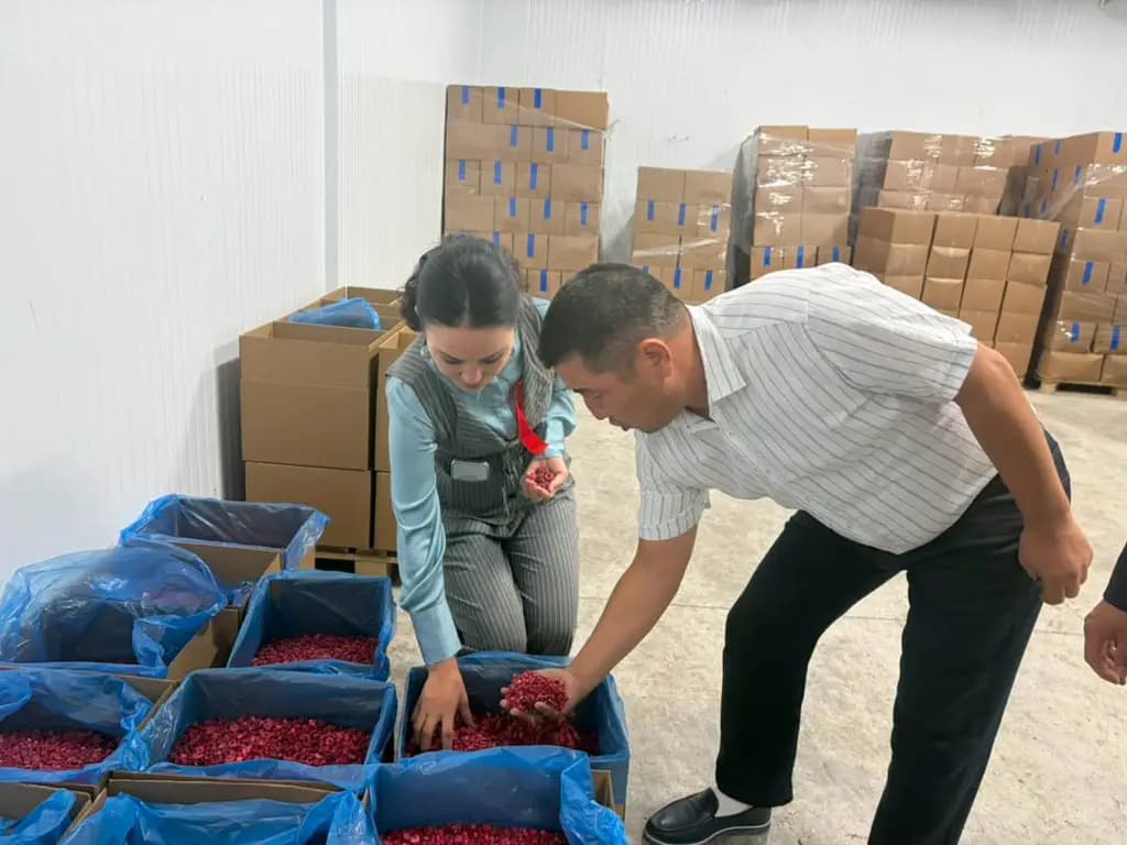Аксыда 300 тоннага чейин айыл чарба продукциясын сактай турган соода-логистикалык борбор ачылды