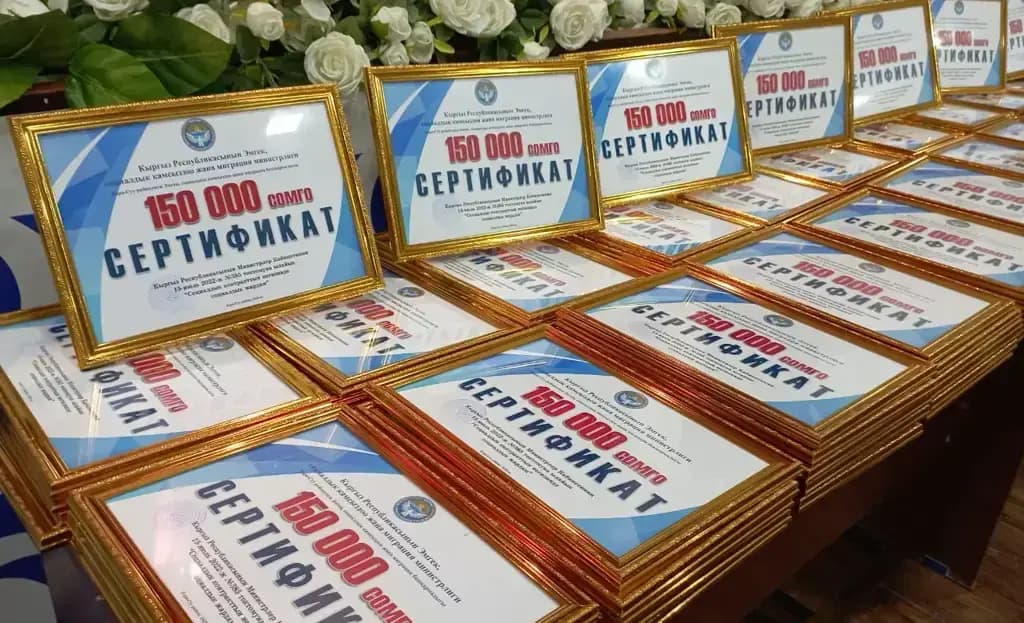 Социальный контракт: как получить от государства 150 тысяч сомов на свое дело