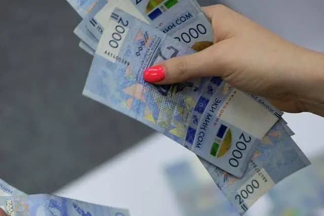 Перечисления в Стабфонд выросли в 2.2 раза — почти до 98 млрд сомов