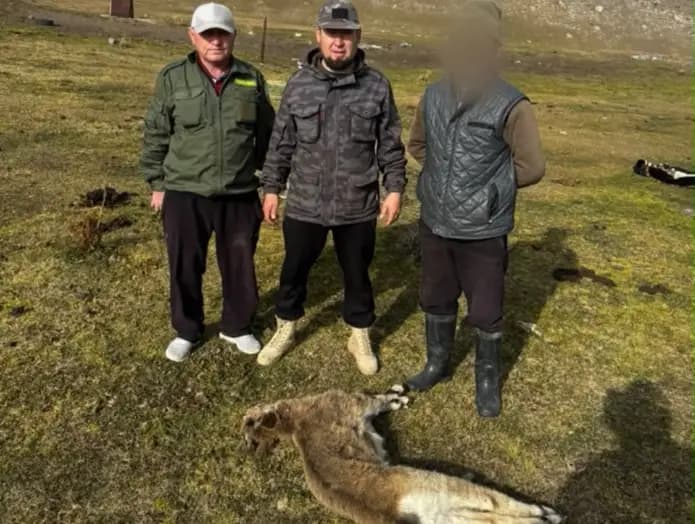 Fine of up to 300,000 KGS: illegal hunting uncovered in Kochkor