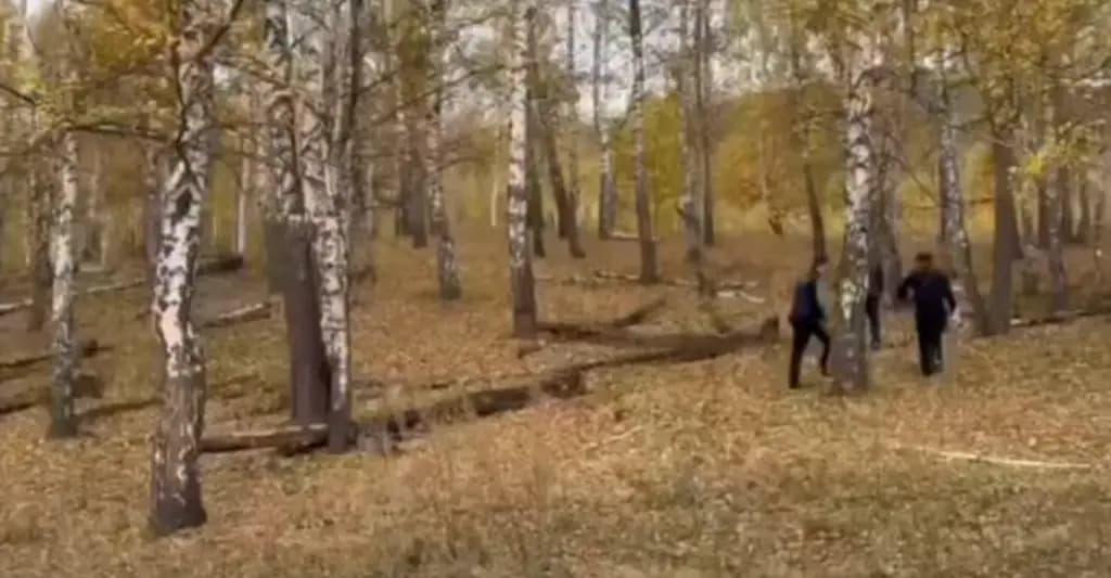 Ала-Арчадагы кайың токоюнунда от жаккан жарандар 15 миң сом айыпка жыгылды