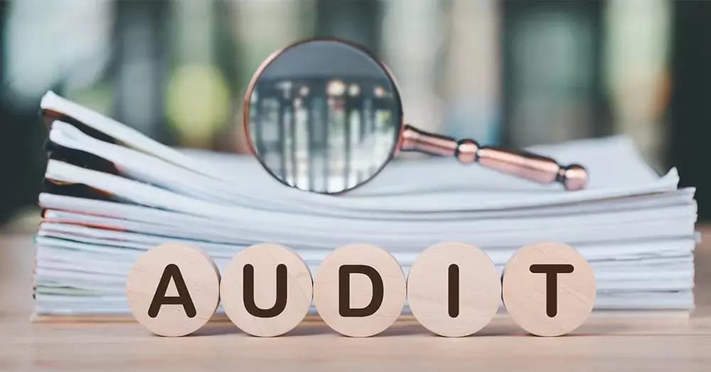 Из-за жалобы Tax Law Audit лишилась допуска к аудиту крупного бизнеса