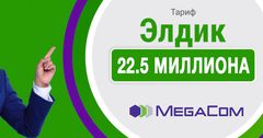На подготовку MegaCom к продаже затрачено 22.5 млн сомов