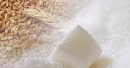 Сколько Кыргызстан импортирует зерна и сахара из России