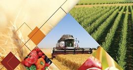 Реформирование сельского хозяйства в Узбекистане