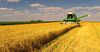 Узбекские предприниматели положительно оценили бизнес-климат в сельском хозяйстве