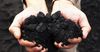Добыча каменного угля в КР выросла почти на 26% за год