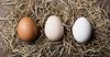 На юге страны изъяли больше 4 тысяч яиц