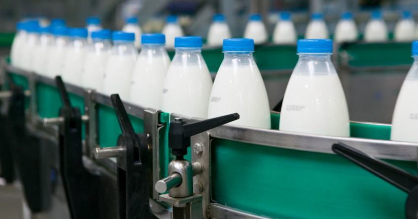 В Чуйской области появится новый завод по переработке молока