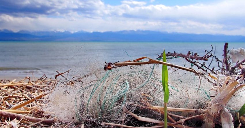 В Кыргызстане хотят запретить ловлю рыбы промысловым способом