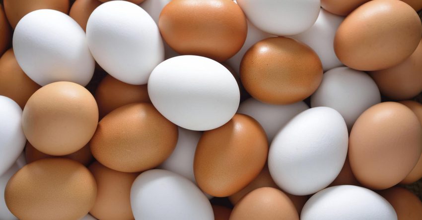 В КР пытались незаконно ввезти куриные яйца