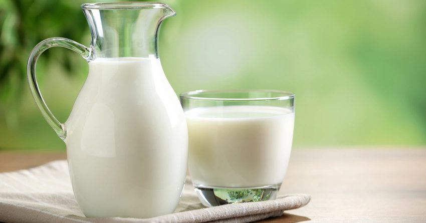 Цены на молоко сбивает импорт из России и Казахстана — Бакыт Торобаев
