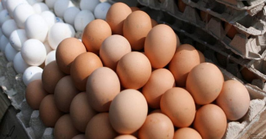 В Кыргызстане себестоимость куриных яиц выросла на 19.35%