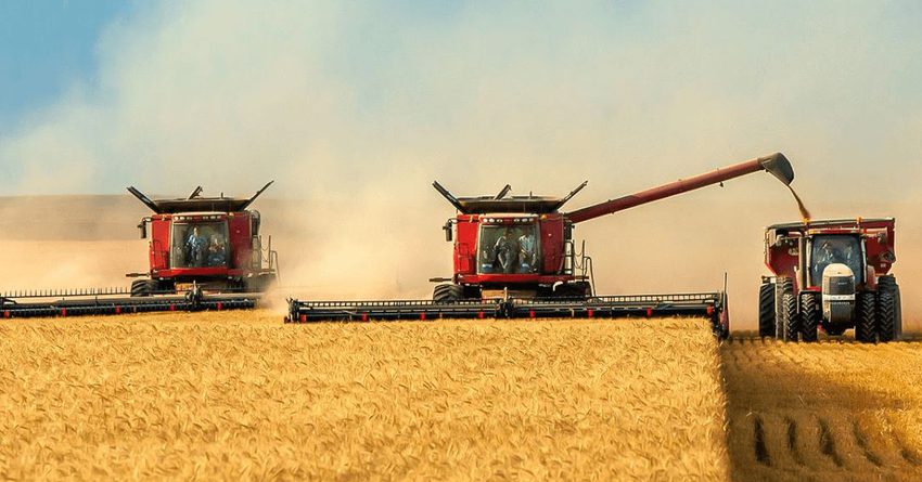 В Кыргызстане убрали в 1.4 раза больше зерновых, чем в прошлом году
