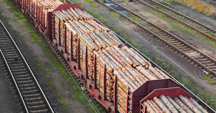 В Кыргызстане хотят продлить запрет на экспорт древесины