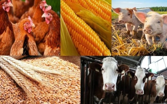 Валовой выпуск продукции сельского хозяйства составил 323 млрд сомов