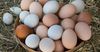 В новогодние праздники  выросла стоимость куриных яиц