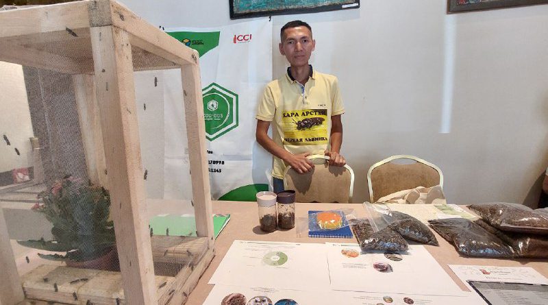 Фермеры Кыргызстана тестируют утилизацию мусора полезными мухами