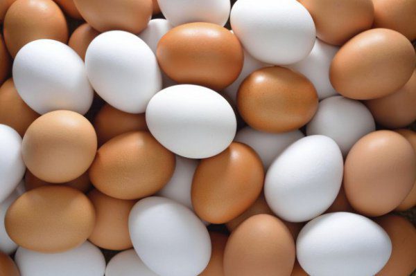 Кыргызстан в январе импортировал 4.5 млн куриных яиц