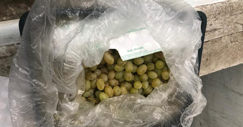ГПС задержала 3 тонны контрабандных фруктов