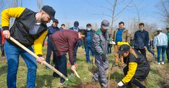 Beeline совместно с аппаратом правительства КР посадили деревья в парке Ататюрка