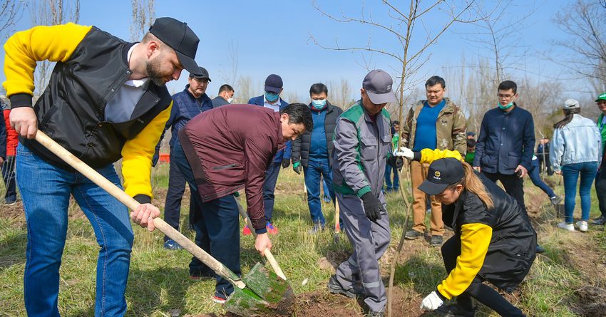 Beeline совместно с аппаратом правительства КР посадили деревья в парке Ататюрка