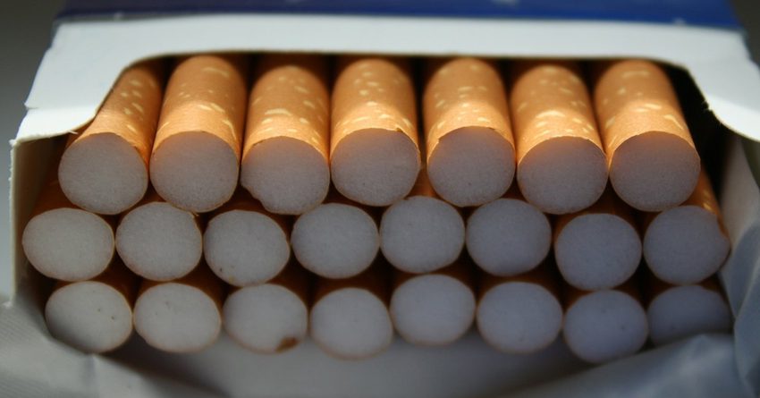 В КР задержана контрабанда сигарет на 3 млн сомов