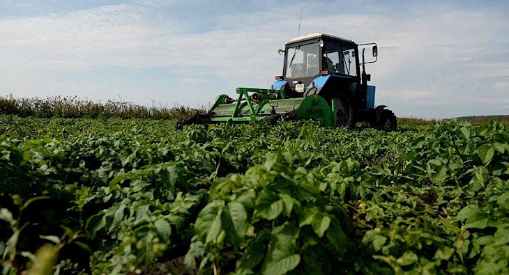 Фермеры ЕАЭС произвели сельхозпродукции на $114.4 млрд в 2020 году