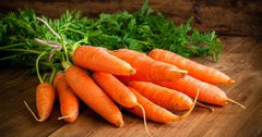 Причину роста цен на морковь рассказали в Госантимонополии КР