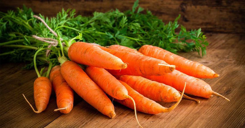 Причину роста цен на морковь рассказали в Госантимонополии КР
