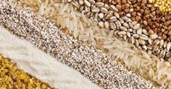 За два года потребление зерновых в мире превысит 2.7 млрд тонн — ФАО
