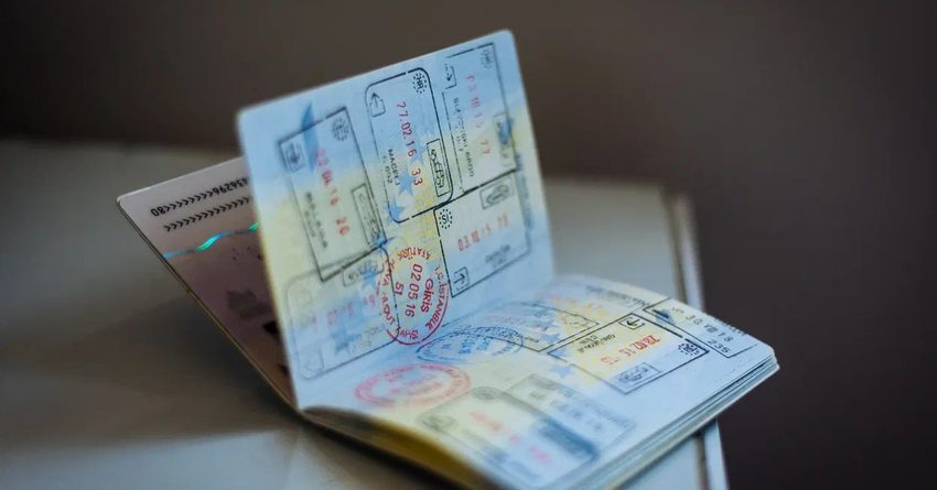 Мигранттар балдарына беш жылдык виза берүүнү суранууда