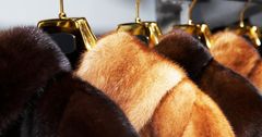 В странах ЕАЭС с 12 августа вступит в силу запрет на продажу меховых шуб без маркировки