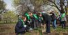«Фонд Озеленения» посадил более 300 деревьев в школах Ысык-Атинского района