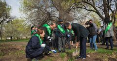 «Фонд Озеленения» посадил более 300 деревьев в школах Ысык-Атинского района