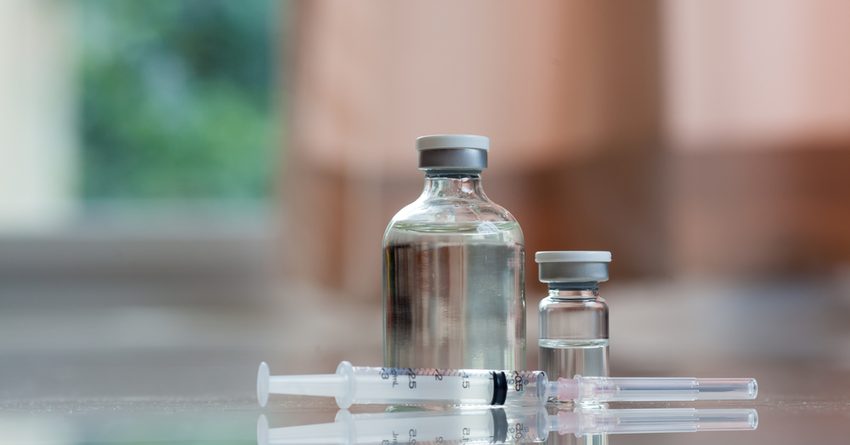 Бишкектен сасык тумоого каршы акысыз вакцинаны кимдер ала алат?