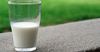 На молочный кластер Чуйской области хотят потратить $35 млн
