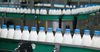 В Кыргызстане отмечен рост производства молока на 1.9%
