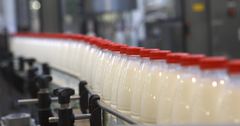 В 2016 году Кыргызстан экспортировал в страны ЕАЭС в 3 раза больше молочной продукции
