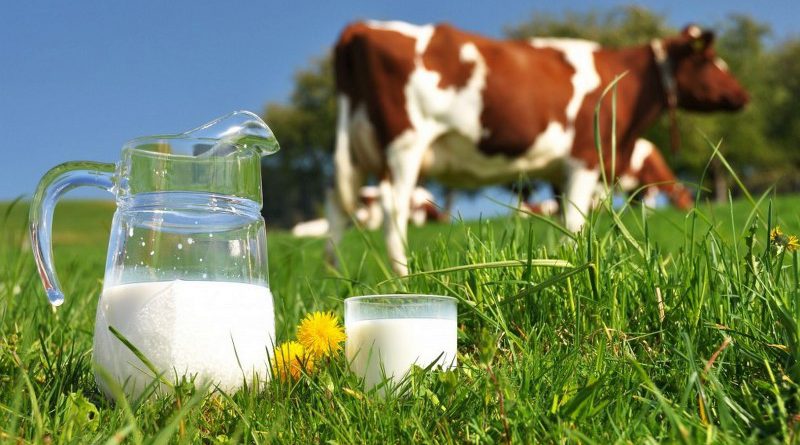 Финансово-кредитный фонд начал выдавать деньги молочному сектору