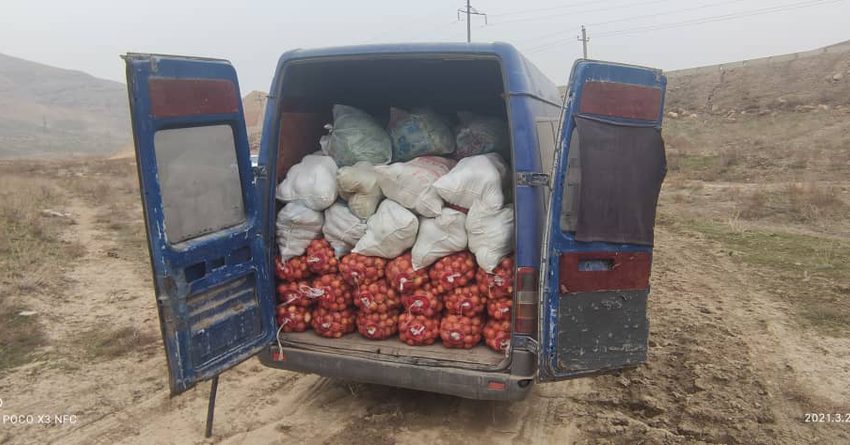 Пограничники задержали контрабанду овощей и фруктов на 530 тысяч сомов