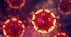 Мировой экономике предрекают медленное восстановление из-за коронавируса