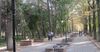 Мэрия Бишкека активизирует реконструкцию парка Ататюрка