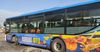 Мэрия Бишкека запустила новый маршрут с экоавтобусами