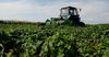 Сельскому хозяйству выдали кредиты на 5 млрд сомов